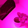 Bioledex LED Pflanzenleuchten